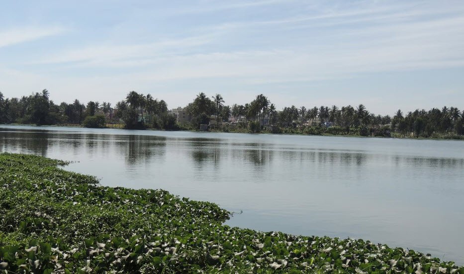 Varthur Lake
